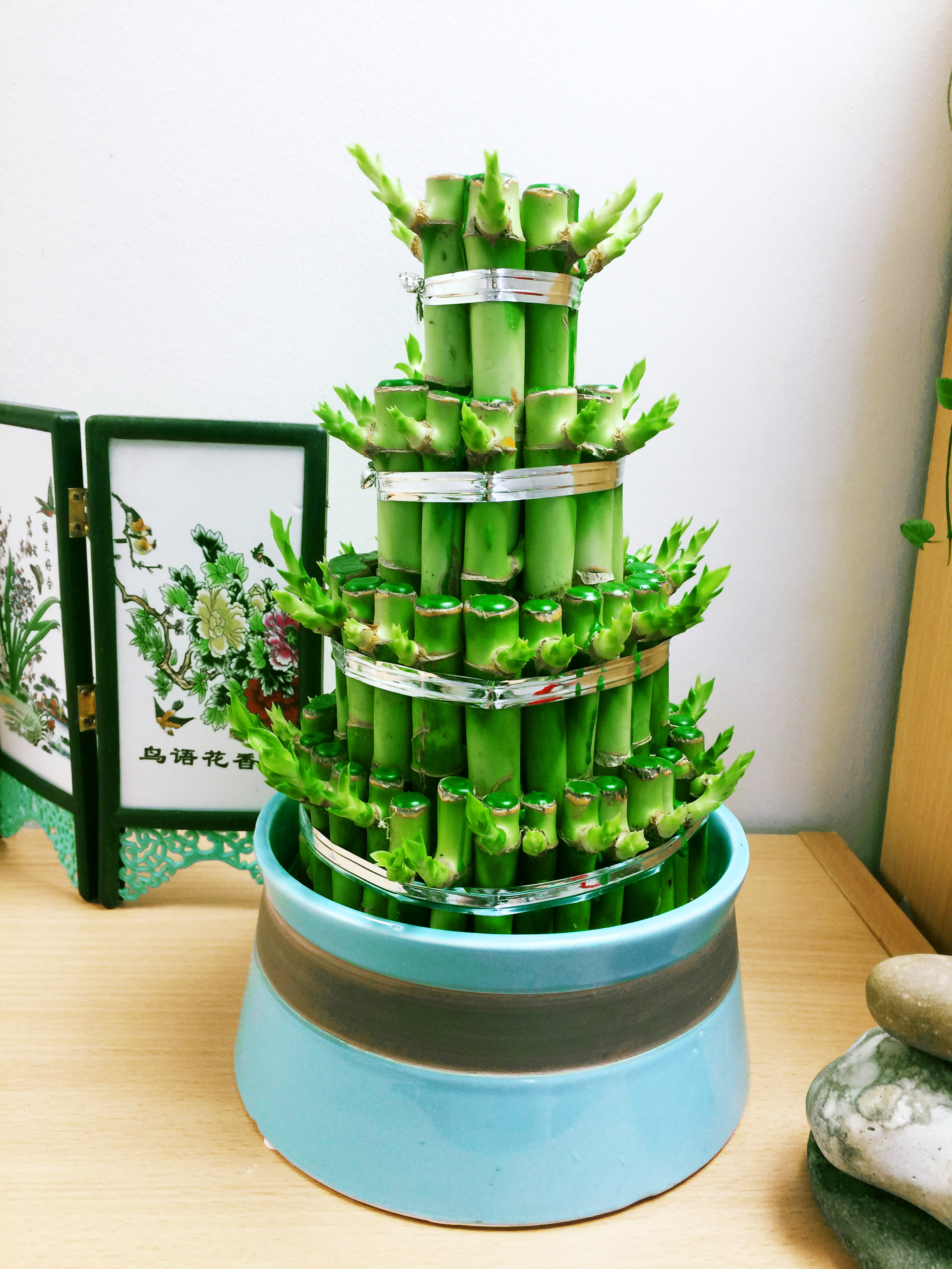 best container for lucky bamboo
